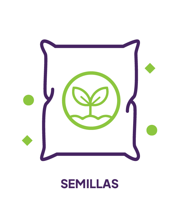 SEMILLAS